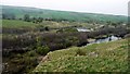 Harehope Quarry