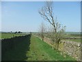 Bridleway, Dunford