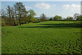 Grazing land beside the River Usk