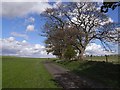 NY9882 : St Oswald's Way at West Harle by Oliver Dixon