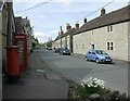 2009 : Narcissi, Kington St. Michael