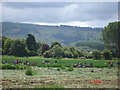 Fields in Birlingham