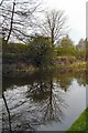 Peak Forest Canal