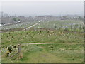 Trinity Cemetery from Broad Hill