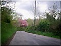 Approaching the old level crossing near Penclippin, Cwmmiles, Login