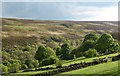 Colsterdale view