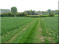 A grassy track to Old Hall Farm