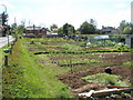 Hillbrow Road Allotments