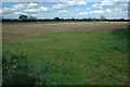 Naunton Court Fields, Naunton Beauchamp