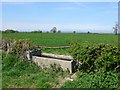 Fields near Chilthorne Domer.