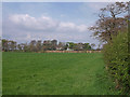 Field,  Middleton Farm