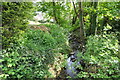 Ogney Brook, Llantwit Major