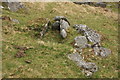 SX5869 : Cist on south slope of Down Tor by Guy Wareham