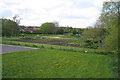 Redwood Avenue allotments