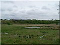 Water body by Daldowie Road