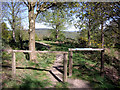 The Greensand Way at Holmbury Hill