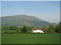 A pair of houses, and Blorenge