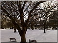 Bunhill Fields in Winter