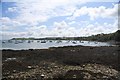 Carrick Roads: Panorama from Loe Beach