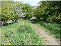 Path onto the embankment