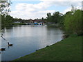 Lake in Swanley Park