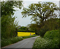 Lane north of Thurston