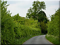 Lane towards Pakenham