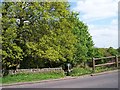 Footpath to Birks Wood, Hagg Stones Road, Oughtibridge