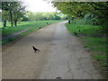 Alexandra Palace Park