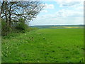 Old Farm Track towards Westfield Farm