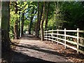 New cycle track, near Brixham