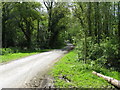 Looking south on country road from Two Mile Ash to Dragons Green