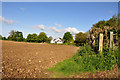 Ploughed field and hedgerow - Boverton