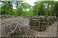 Thrift Wood Pile