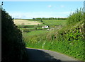 The lane from Mount Pleasant to Higher Kingcombe