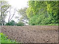 Recent ploughing near Fryern Court