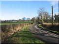 O0462 : Road at Balgeeth, Co. Meath by Kieran Campbell