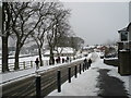 Bream in winter