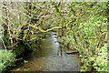 River Camel at Slaughterbridge, north Cornwall