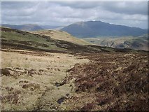 NY2919 : Looking towards Goat Crag by Michael Graham