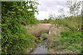 Stream beside the River Kenson - Burton Bridge