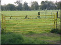 Colourful gate near the Kangaroo