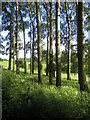 View from road between Eythrope and Stone 3