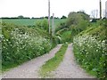 Bridleway, Monkton up Wimborne