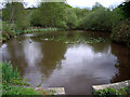 Pond, Holmbury St Mary