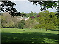 Parkland across to Bulwick Hall