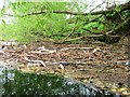 River Tees,  Flood Debris