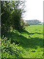 Footpath, Brook Farm