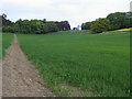 Footpath to Waddesdon