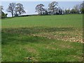 Footpath from Chickwell Lane